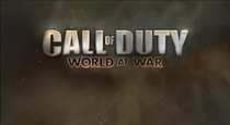 про call of duty 5 world at war